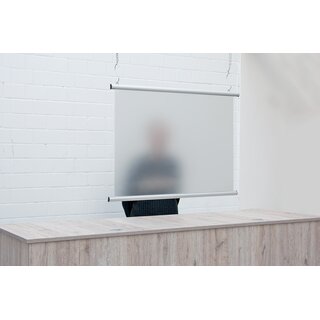 Hygiene Display / Sicht- und Spuckschutz inkl. Klemmleisten, 790 x 600 mm