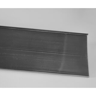 Scannerschiene / Preisschiene 100x7 cm (LxH), anthrazit/transparent
