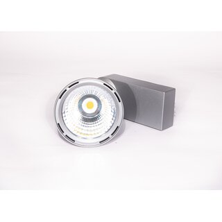 LIVAL LEeminence Passive LED 3000K 27,9W, grau